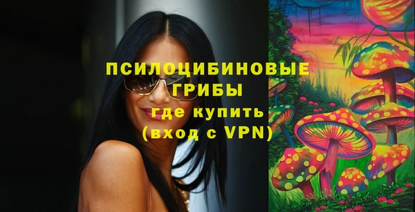 первитин Каменногорск