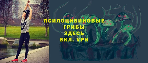 jwh Каменка