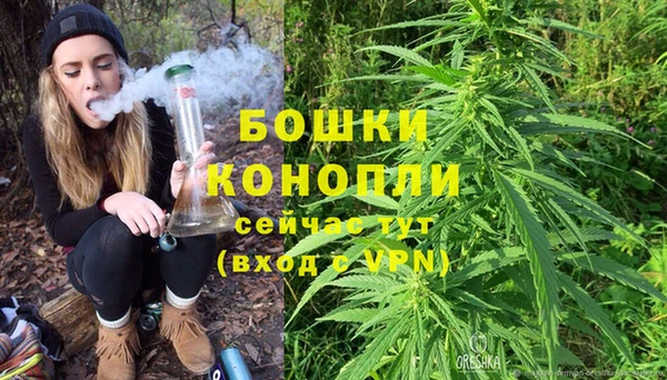 бошки Архангельск