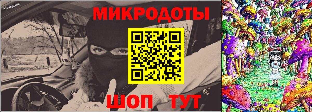 Сегежа  Псилоцибиновые грибы прущие грибы  Вход с VPN 
