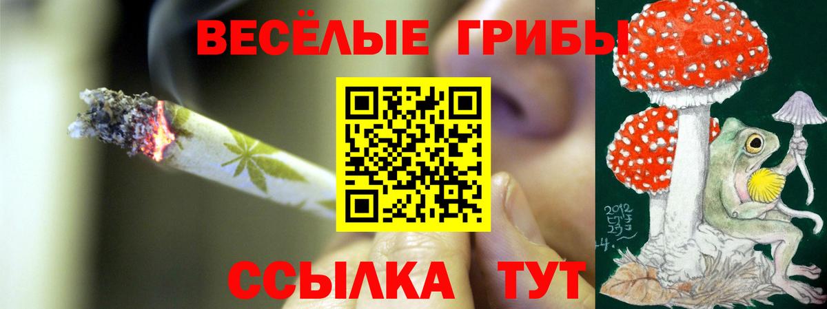 Галлюциногенные грибы Psilocybine cubensis Сегежа